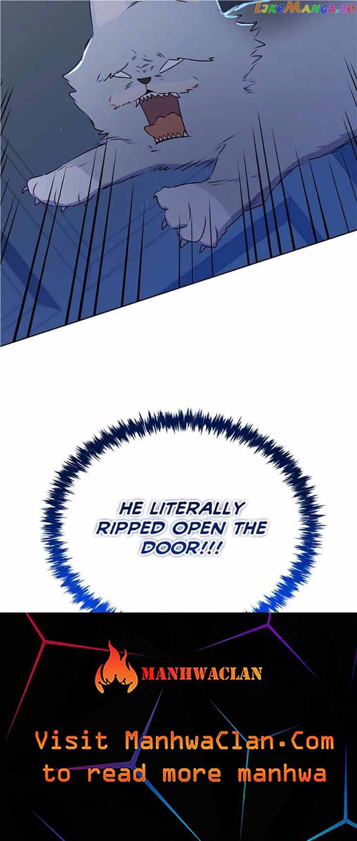 80