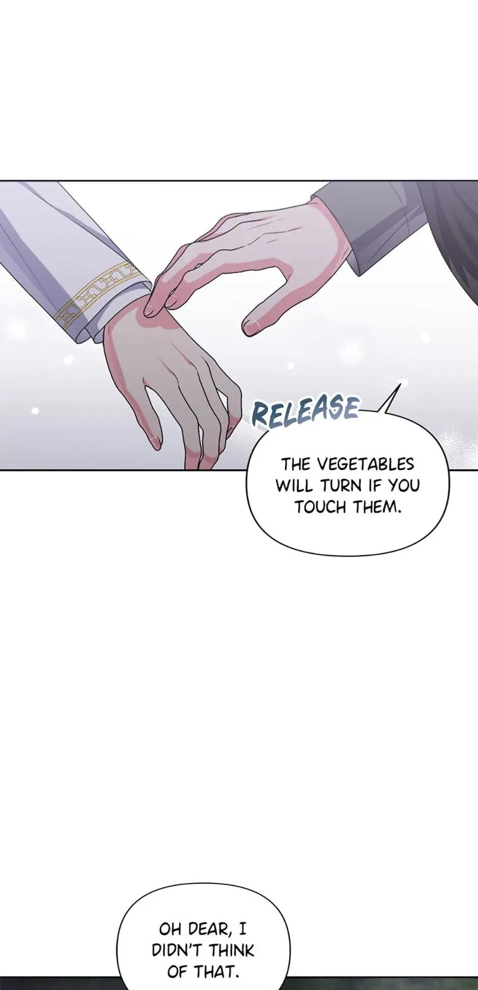 She’s the Older Sister of the Obsessive Male Lead Chapter 44 289 51