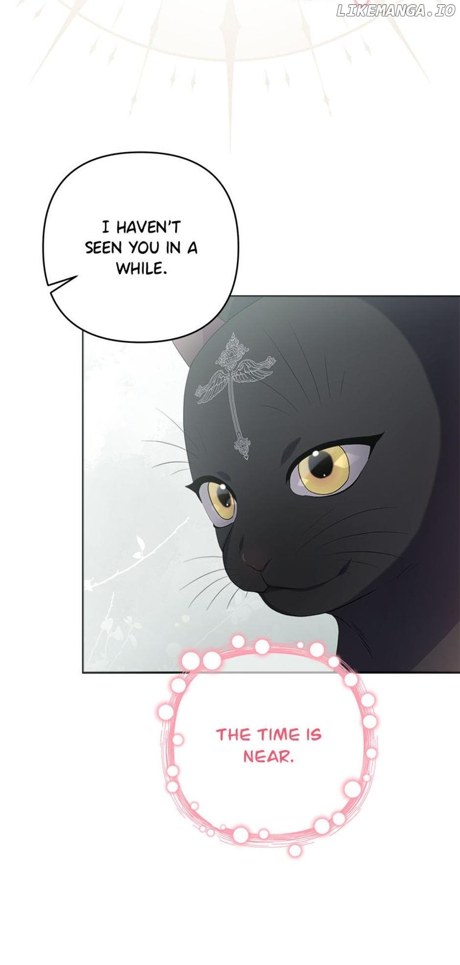 She’s the Older Sister of the Obsessive Male Lead Chapter 61 263 10