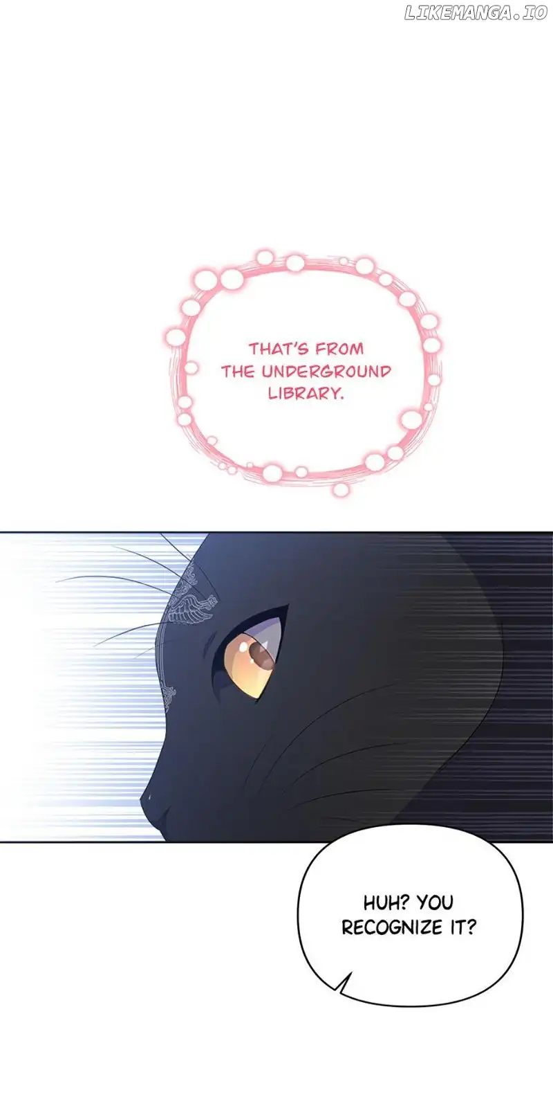 She’s the Older Sister of the Obsessive Male Lead Chapter 67 269 31