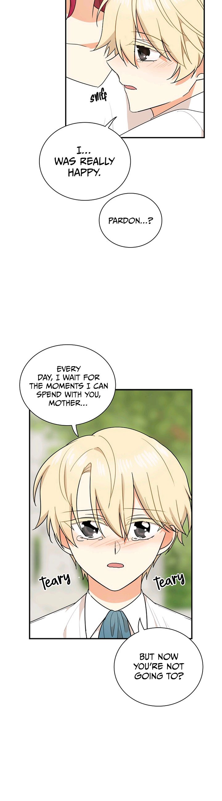 I Became the Villain’s Mother Chapter 58 107 19