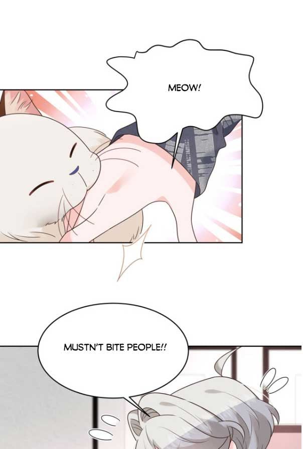 National School Prince Is A Girl Chapter 296 216 029
