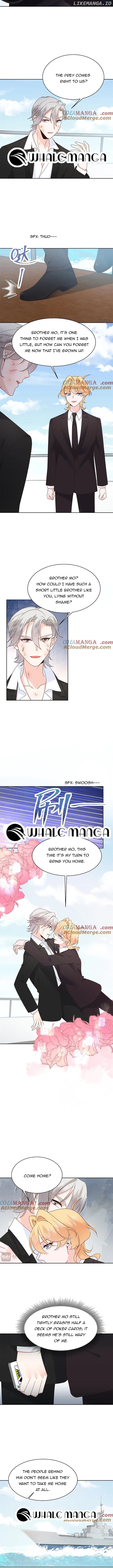 National School Prince Is A Girl Chapter 490 26 4