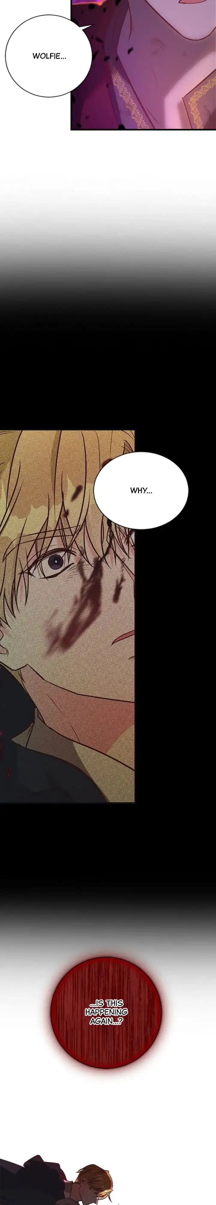 The Secret Life of a Certain Count’s Lady Chapter 91 168 29