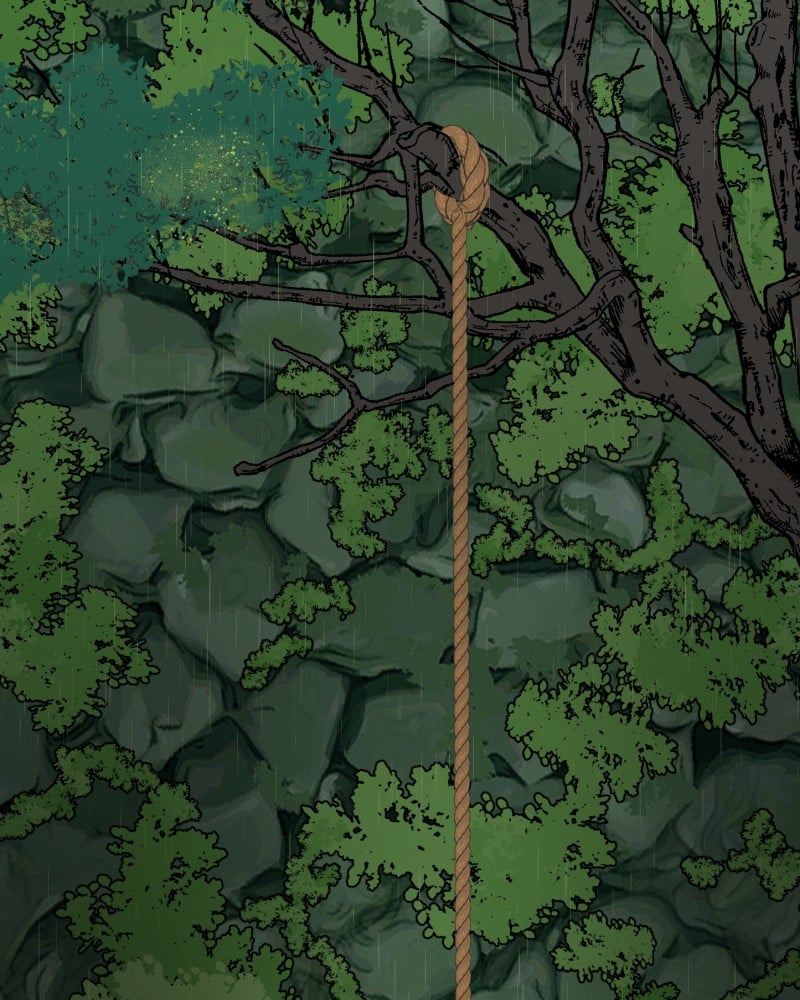 003