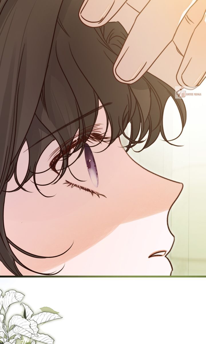 ch 48 21