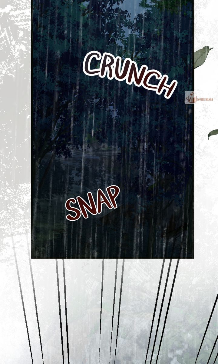 ch 49 126