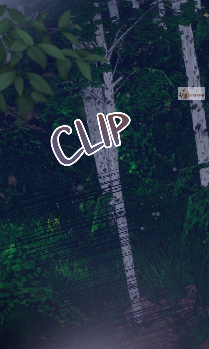 ch 49 97