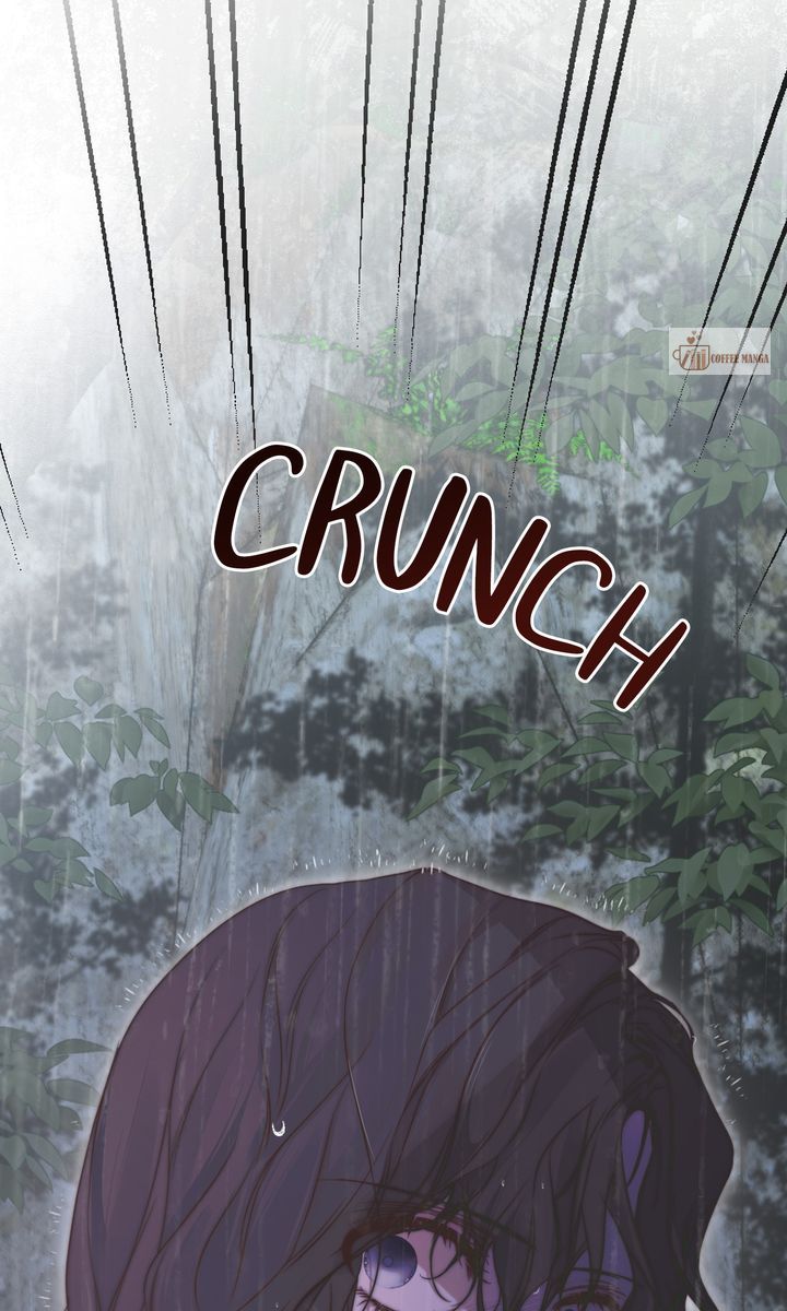 ch 50 1