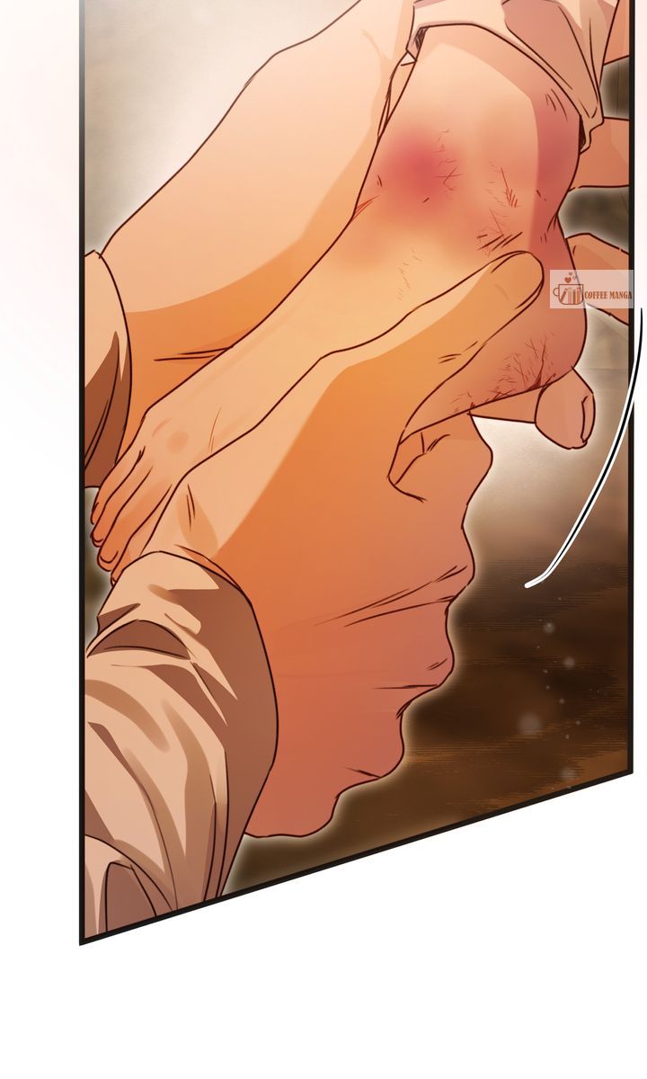 ch 50 101