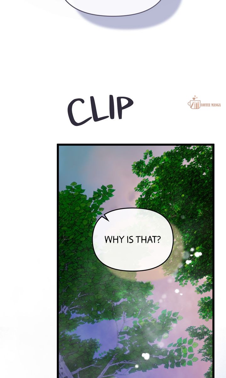 ch 51 91