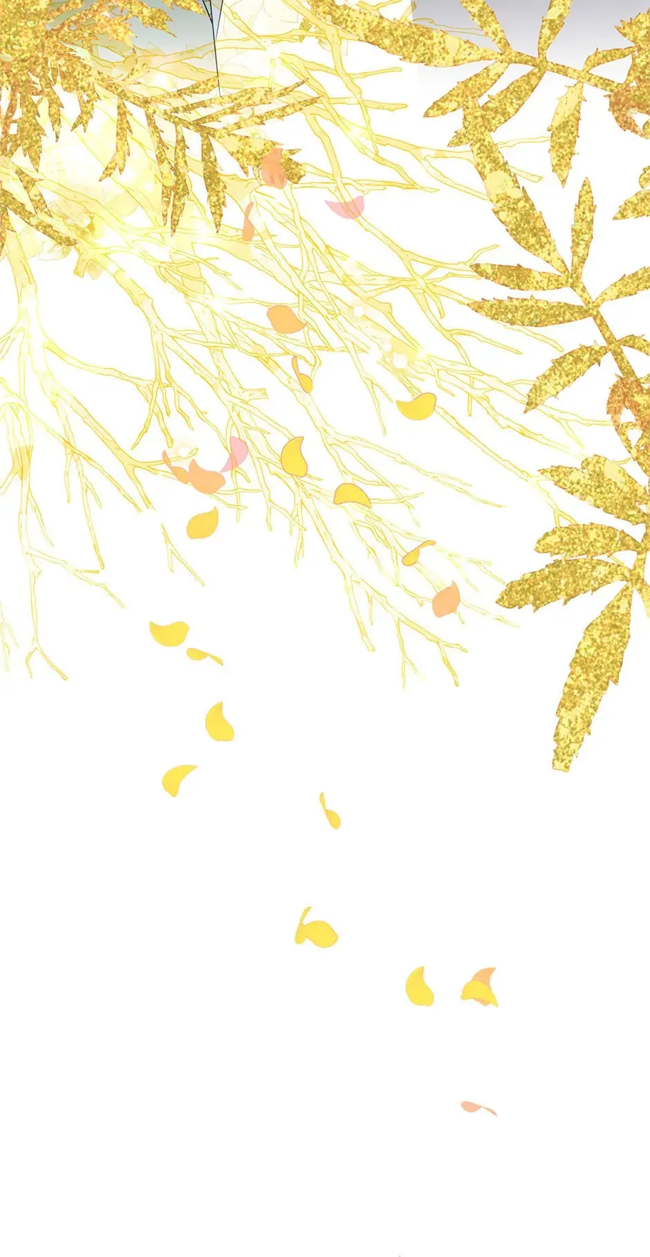 e1c85ab4317e