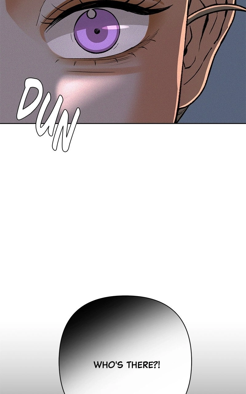 dfa3e34d1554