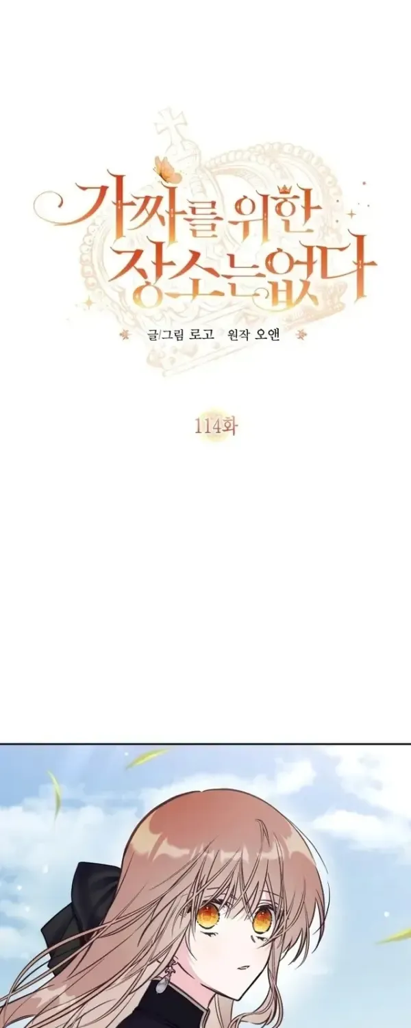 No Place for the Fake Princess Chapter 114 206 88ca7d53d80a