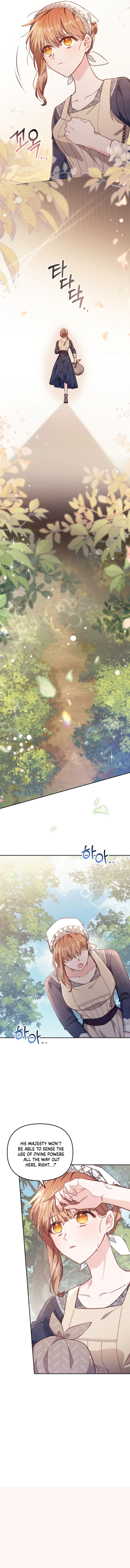 No Place for the Fake Princess Chapter 19 62 12
