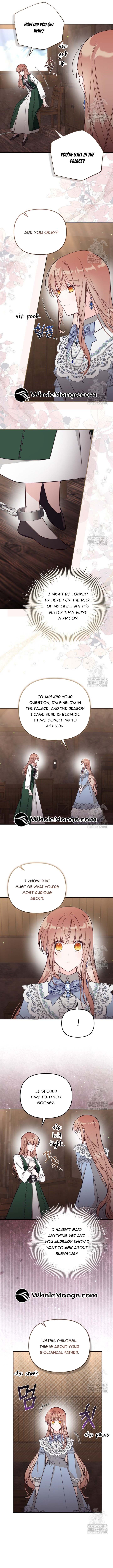 No Place for the Fake Princess Chapter 78 43 03