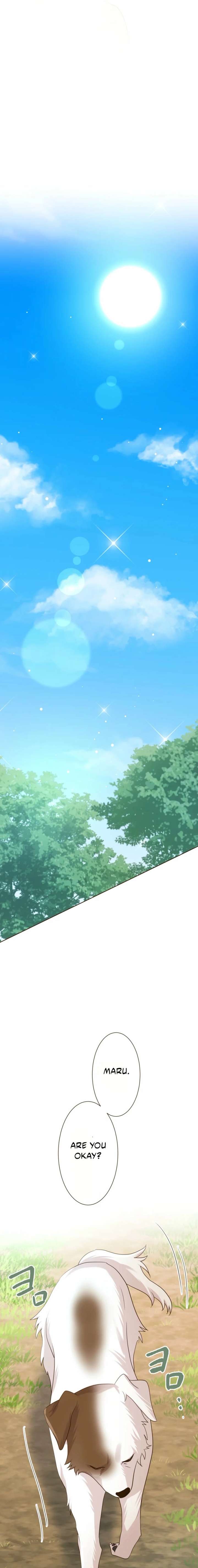 ch 118 17