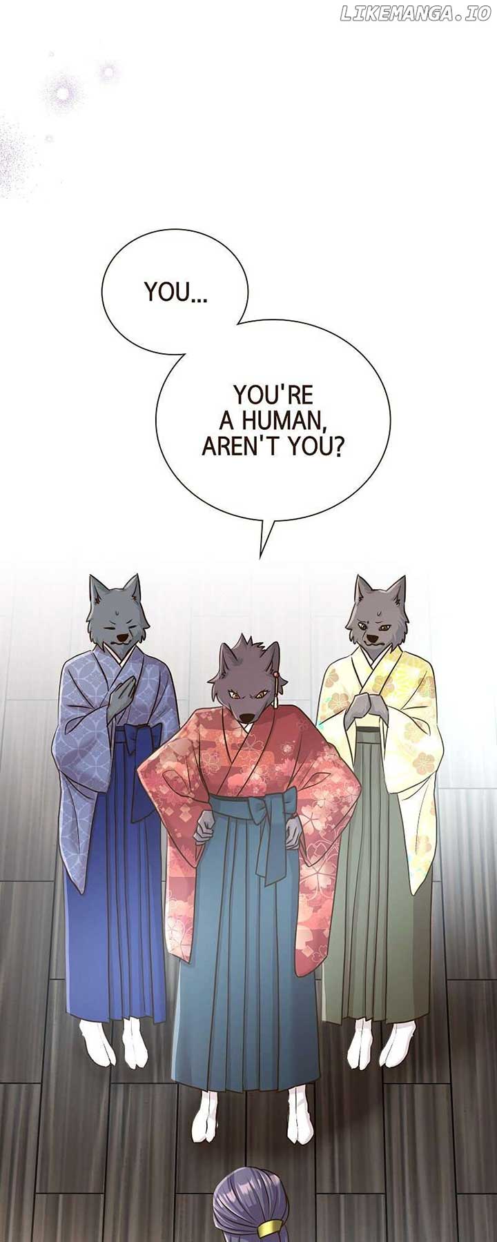 ch 61 27