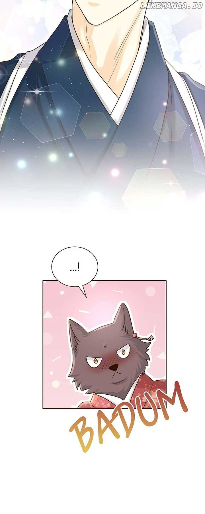 ch 61 41