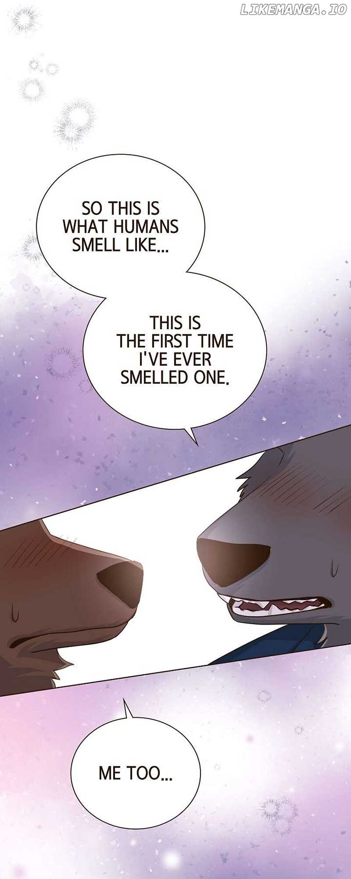 ch 61 45