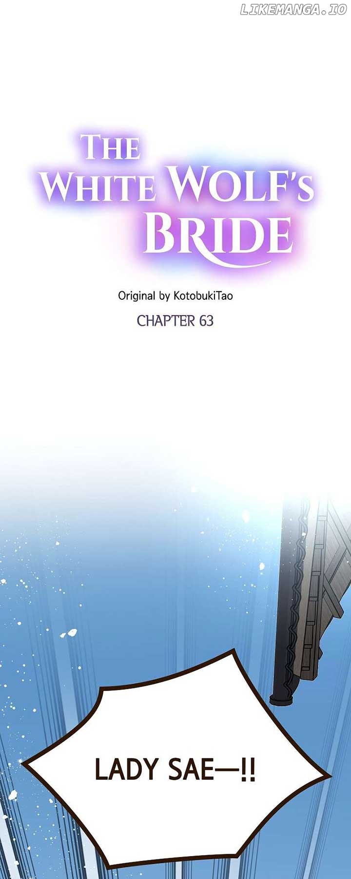 ch 63 1