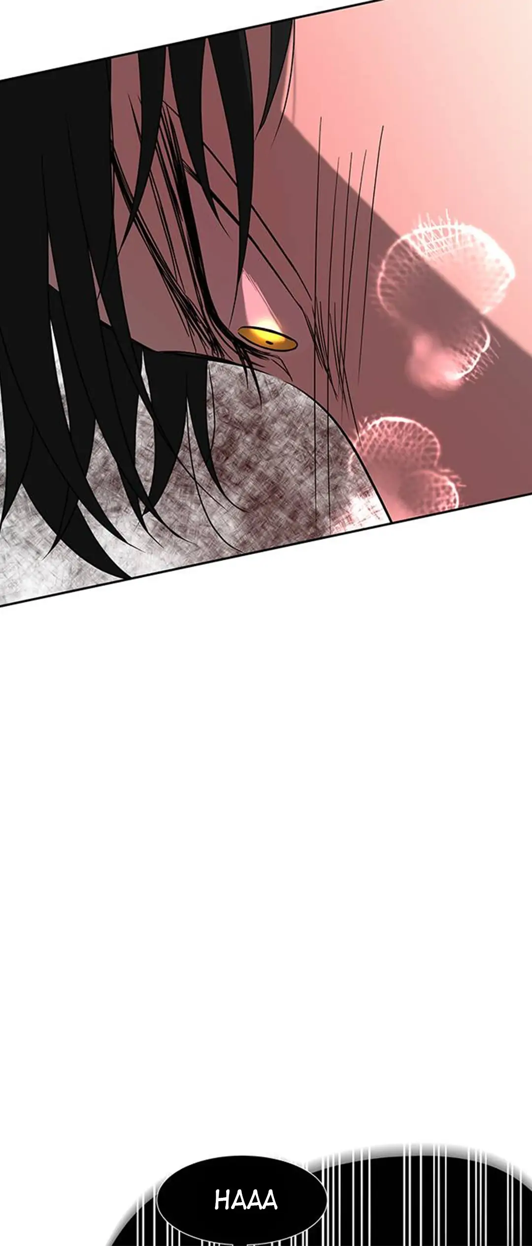 041