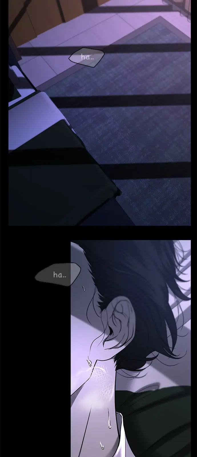 81