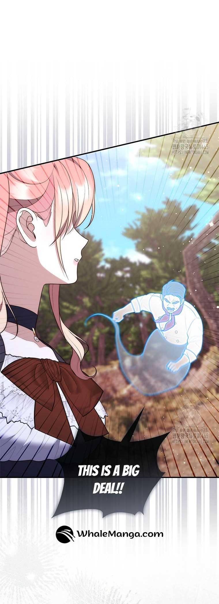 A Fortune-Telling Princess Chapter 75 283 66