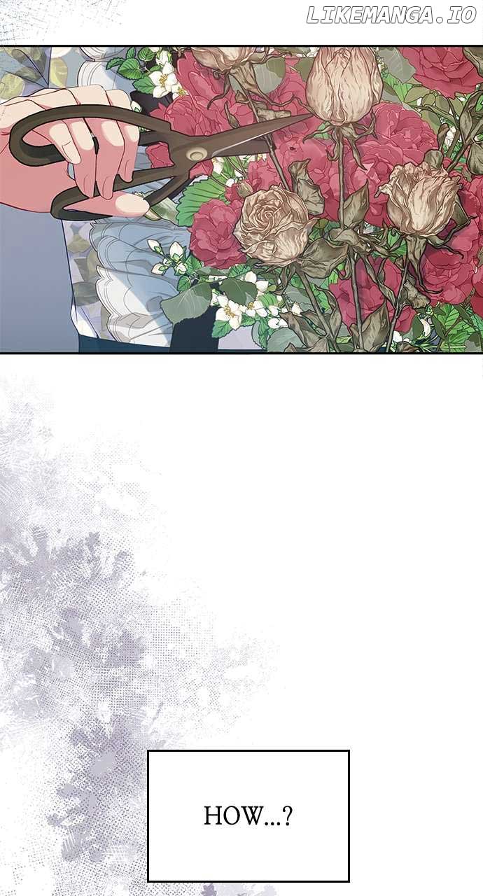 ch 56 82