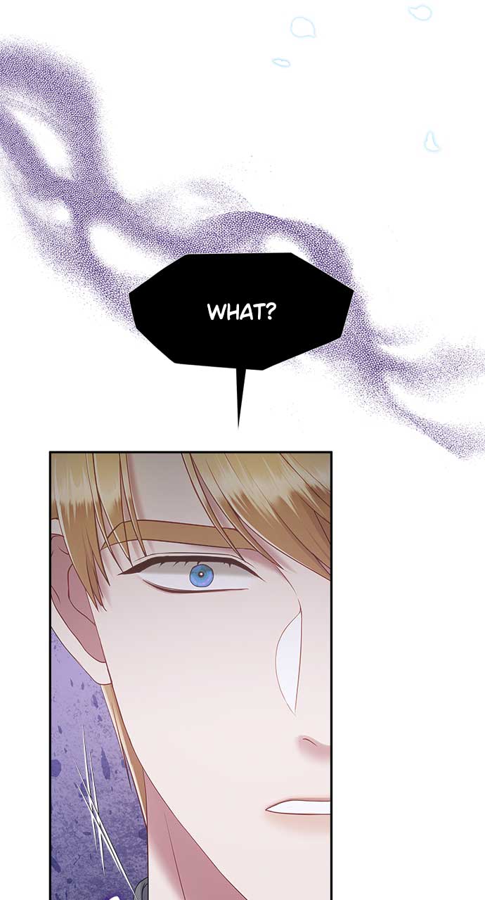 81