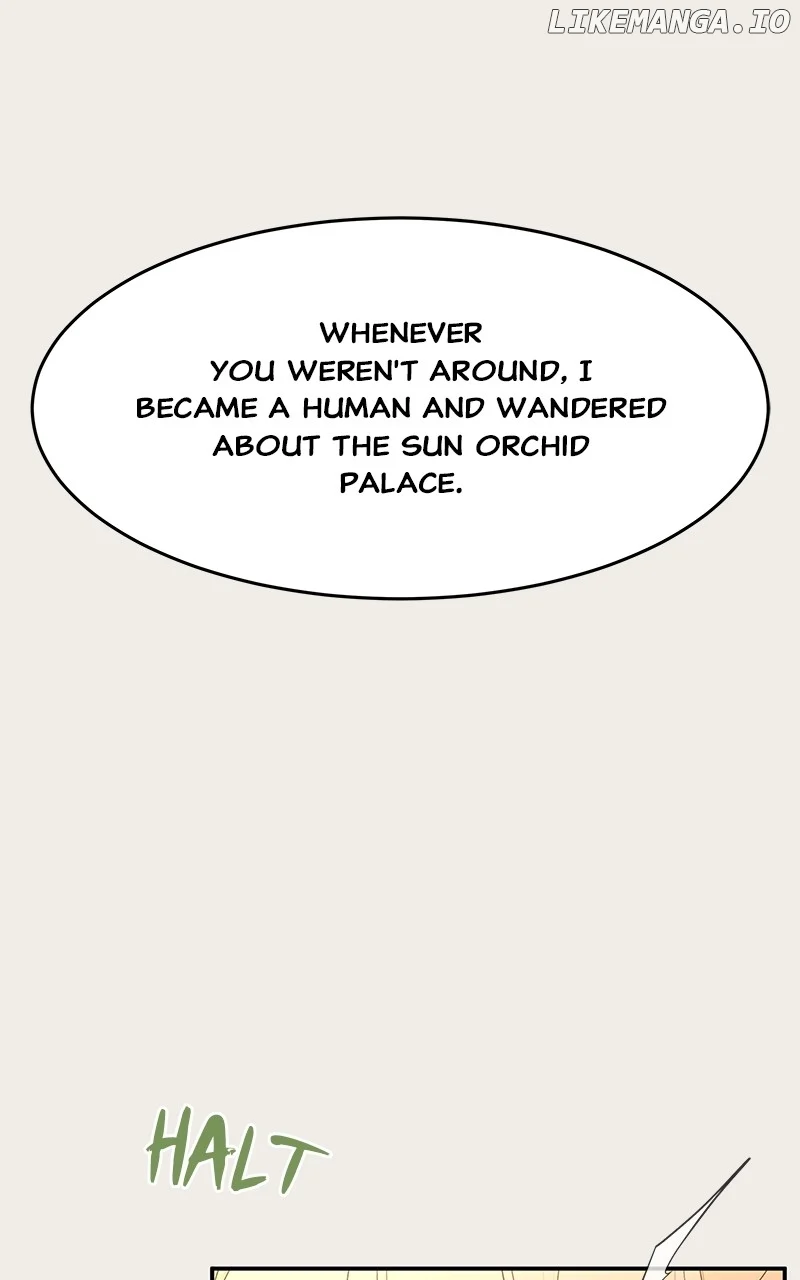 ch 85 123