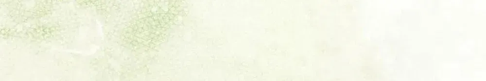 02af84815681