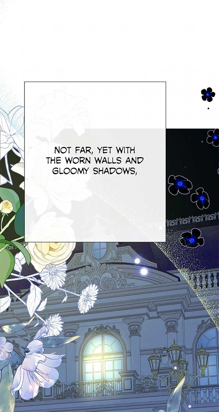 ch 67 46