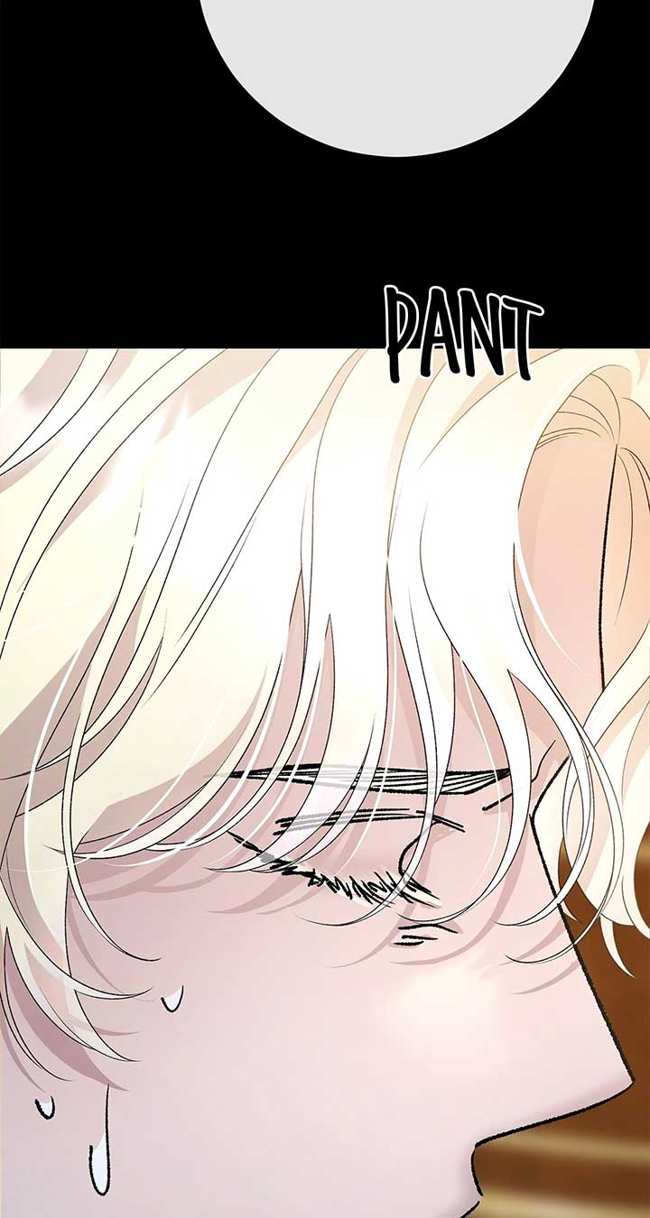 ch 73 21
