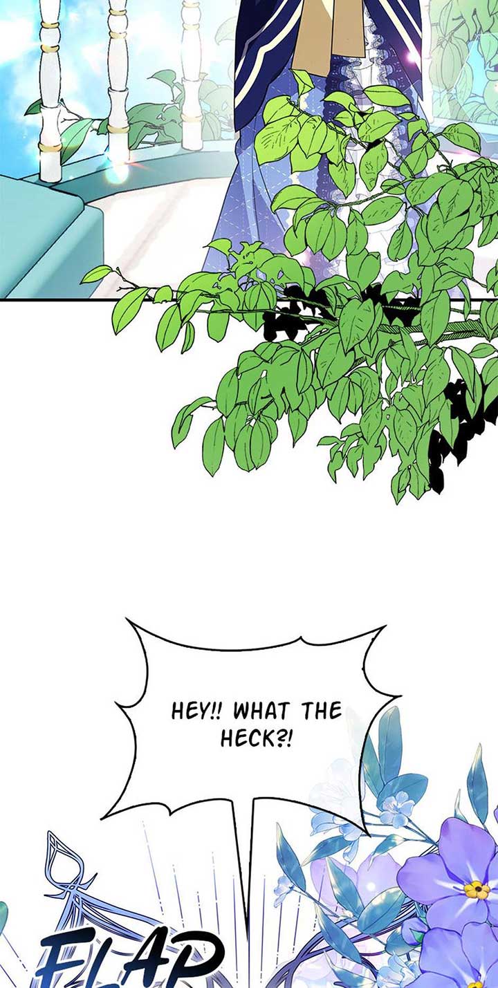 ch 57 81