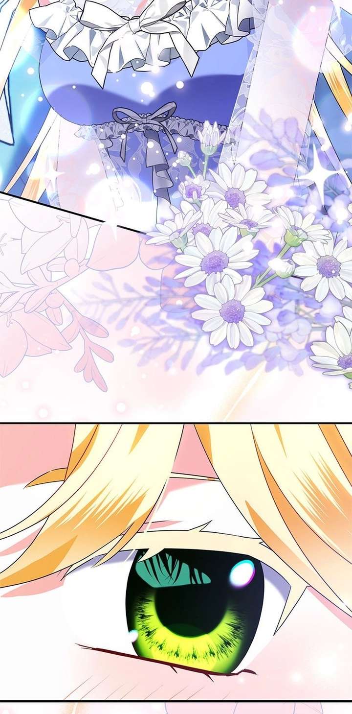 The Fake Rides in a Flower Kiln Chapter 79 290 059