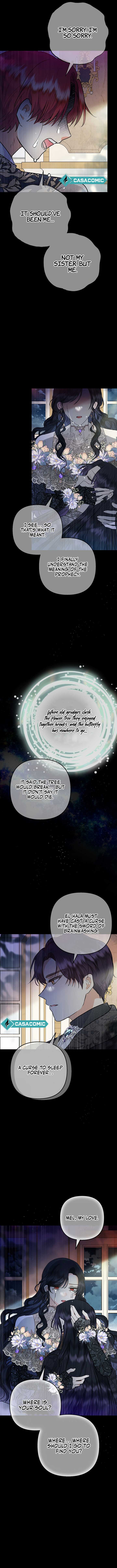 ch 102 6