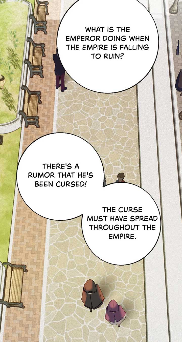 ch 41 19
