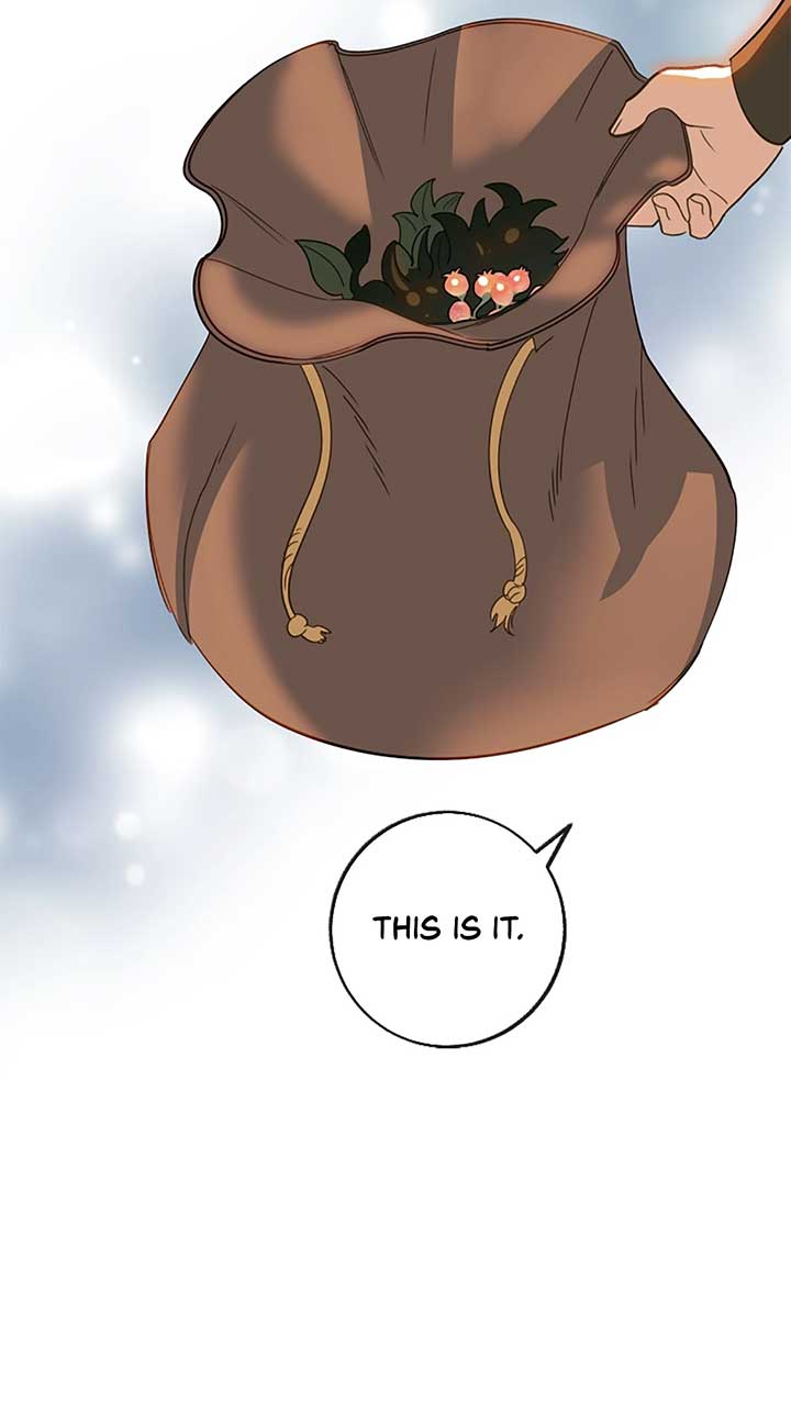 ch 41 23