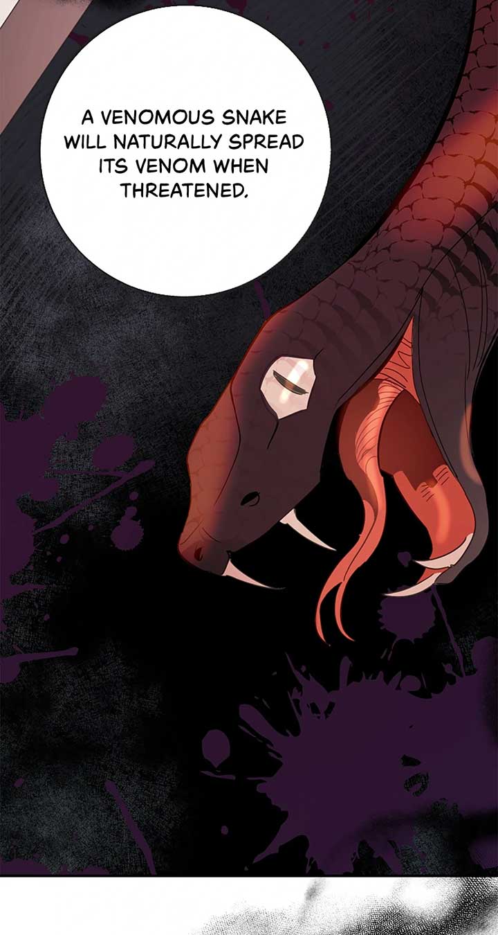 ch 41 40