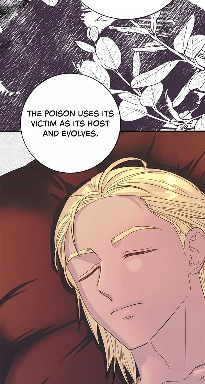ch 41 53