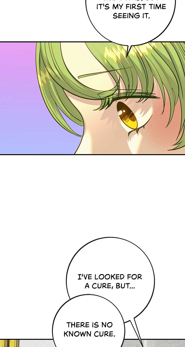 ch 42 2