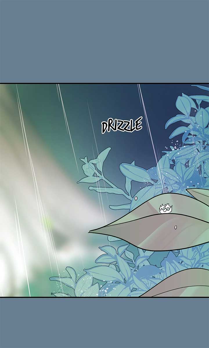 ch 48 28