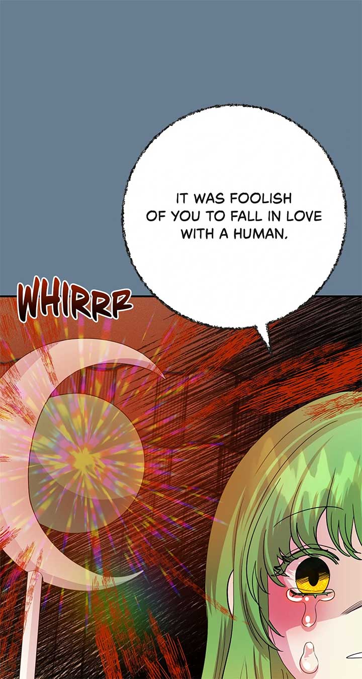 ch 49 2