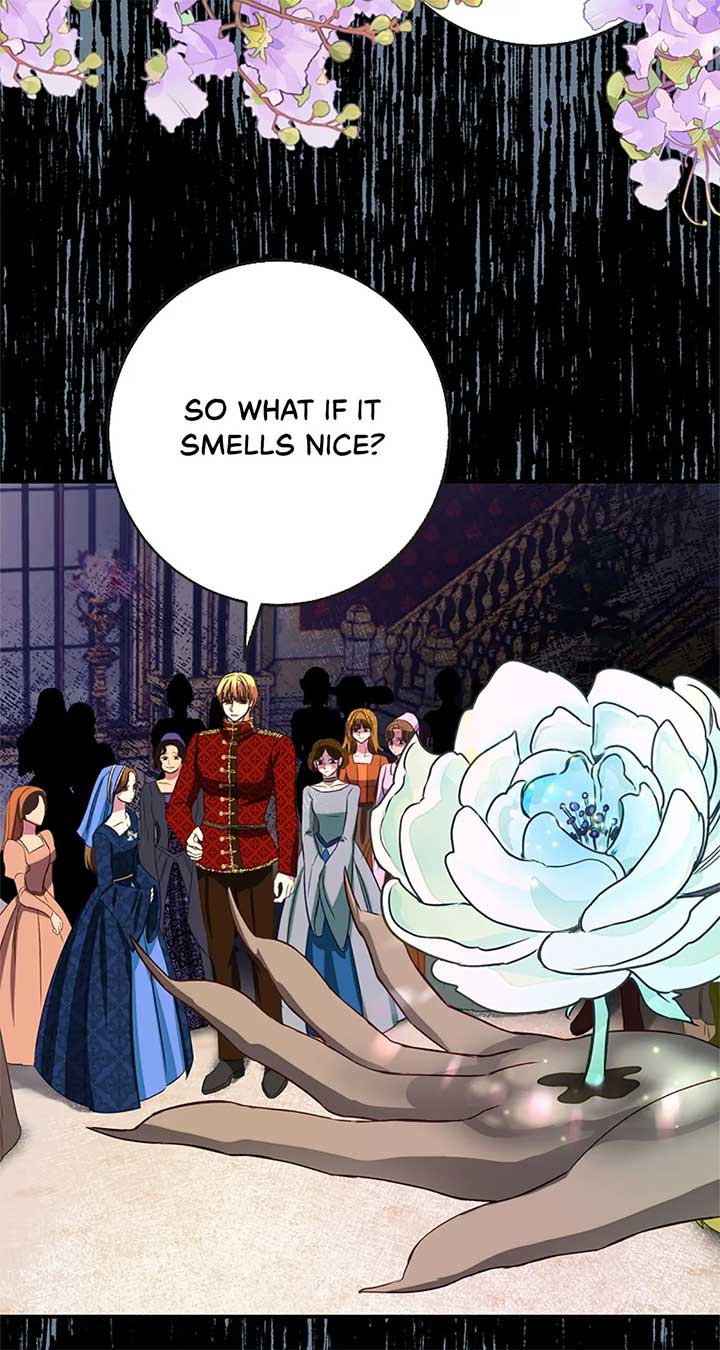 ch 49 53