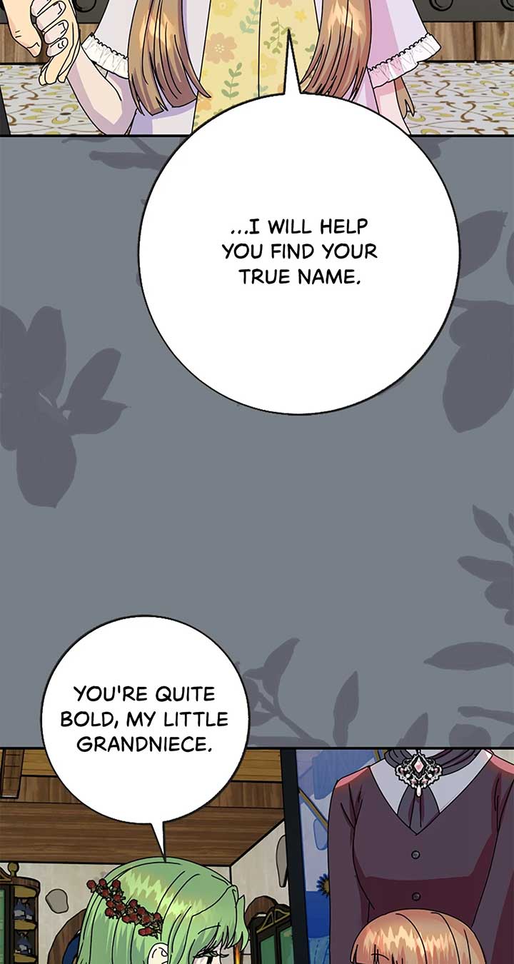 ch 52 48