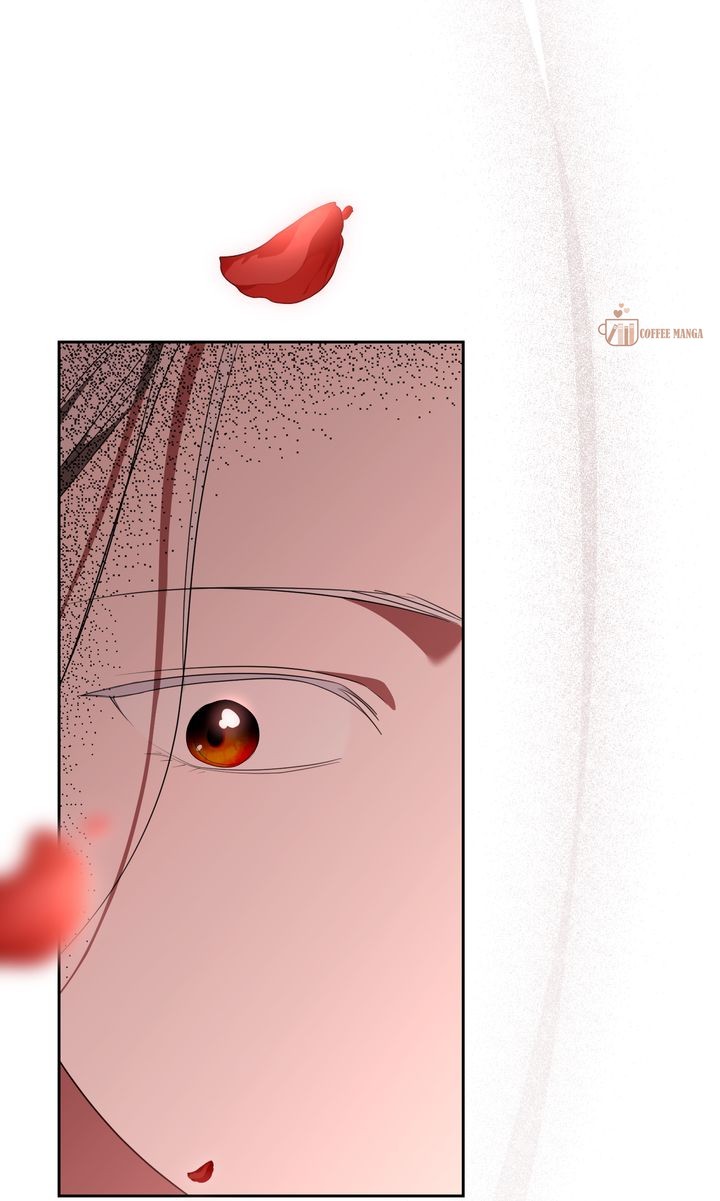ch 55 74