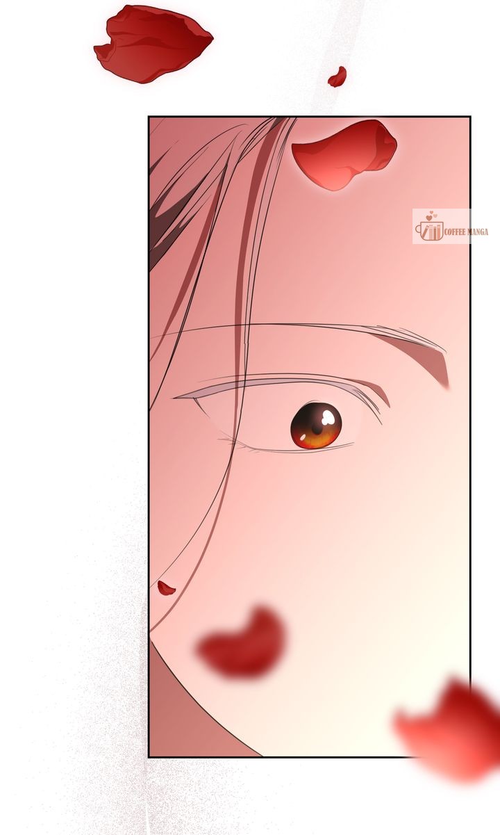 ch 55 75