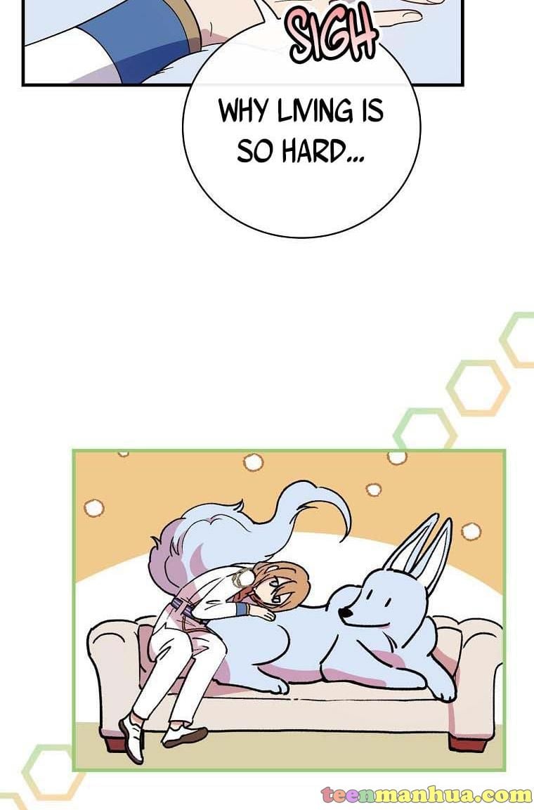 51