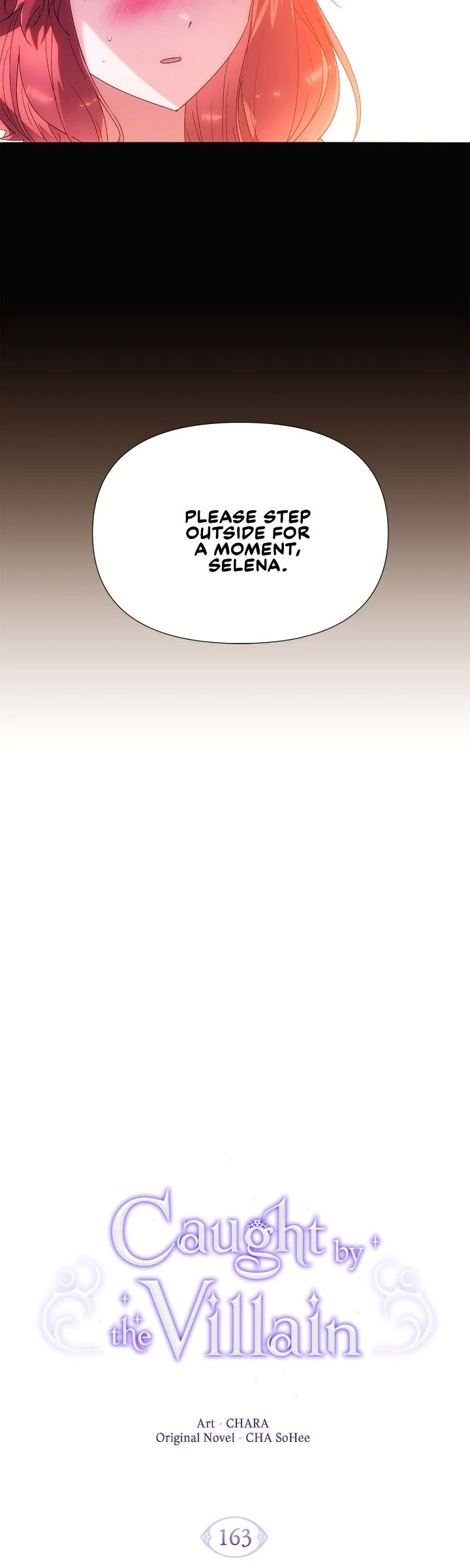 ch 163 3